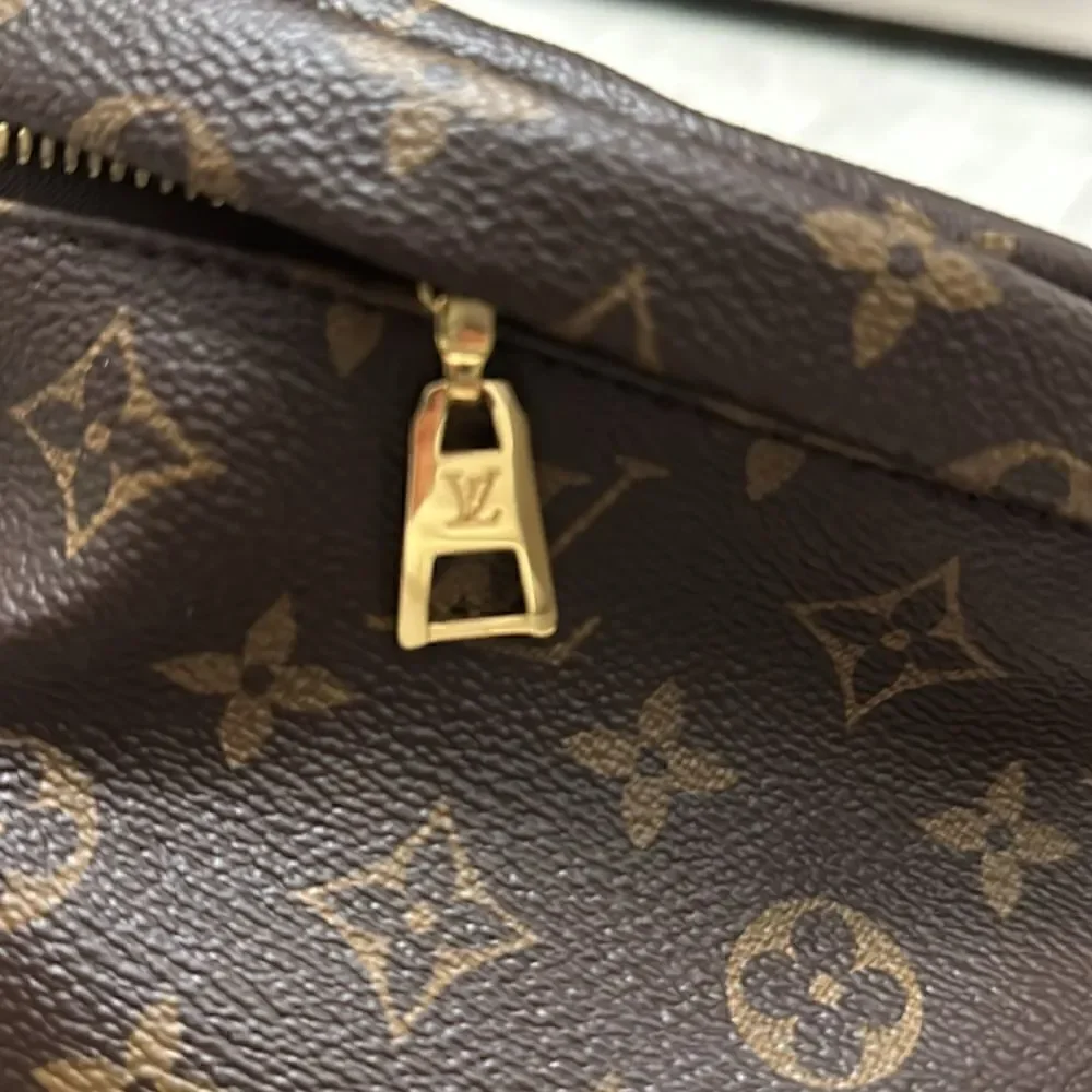 Louis Vuitton Bum bag